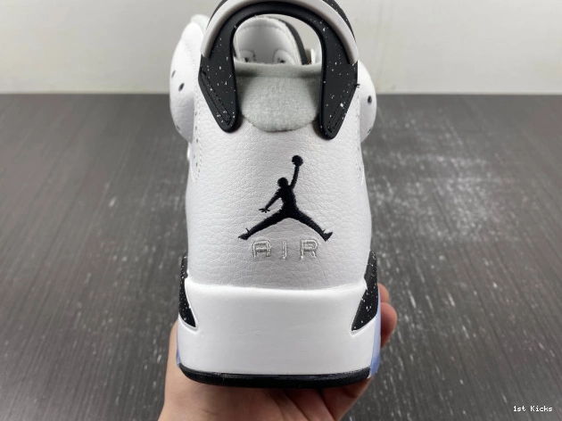 Air 6 Jordan CT8529-112 Oreo Reverse 0603